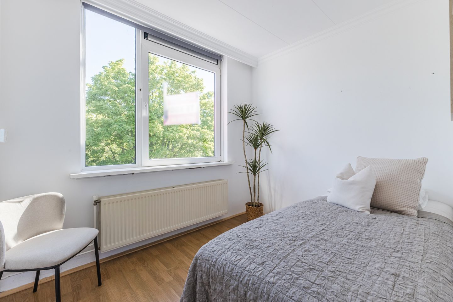 Foto 19 van Willem de Zwijgerlaan 124