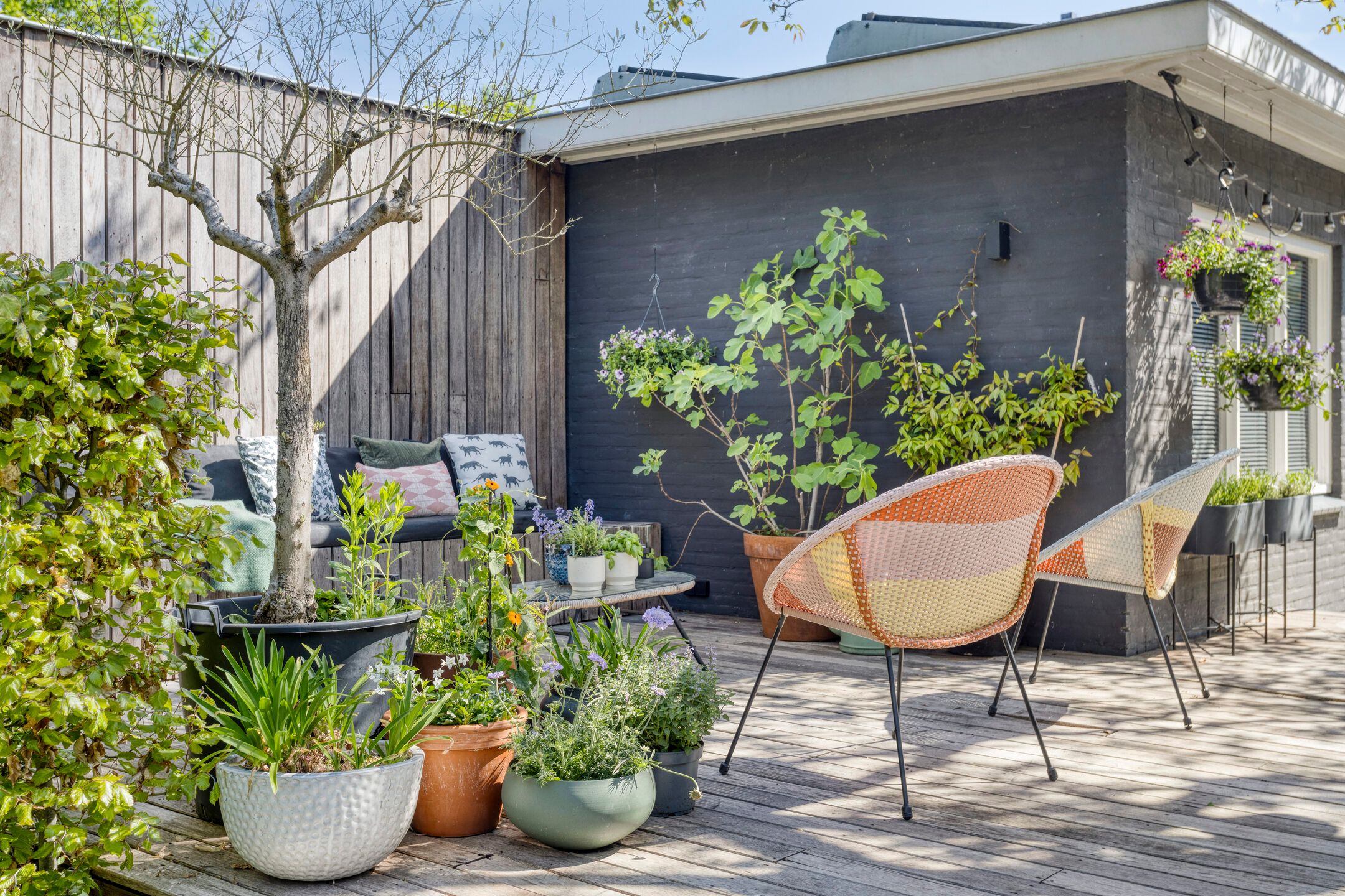 Foto 60 van Theresialaan 42