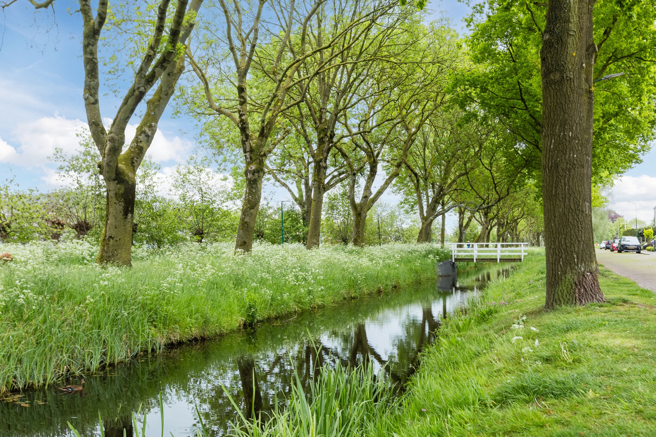 Foto 45 van Da Costastraat 17