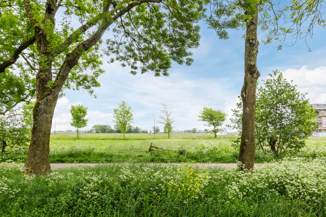 Foto 46 van Da Costastraat 17