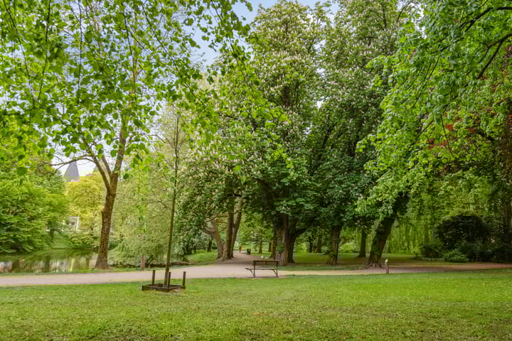 Foto 30 van Noorderbinnensingel 20