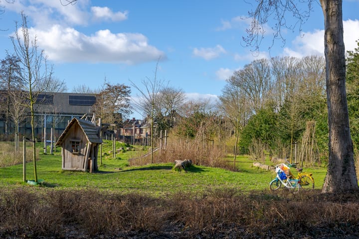 Foto 42 van Koningin Emmalaan 2