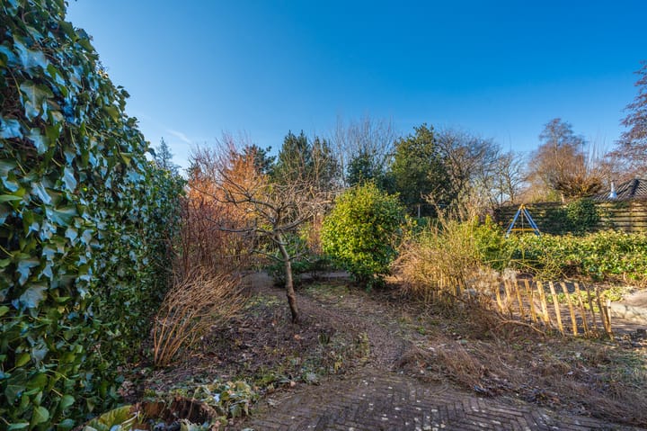 Foto 48 van Kruirad 47