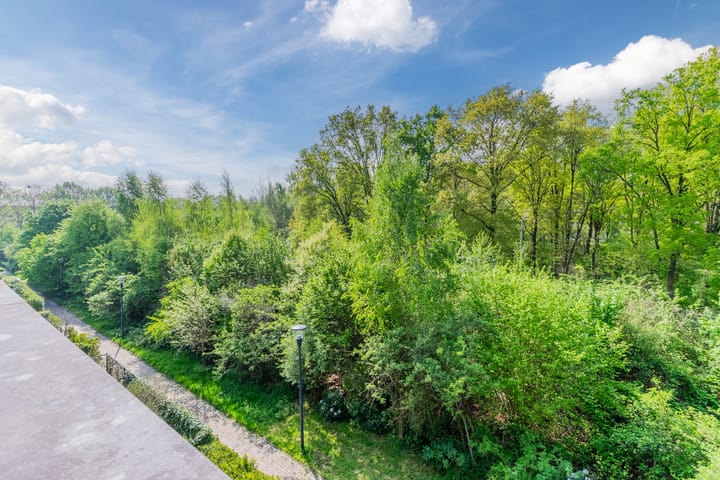 Foto 61 van Waterland 26