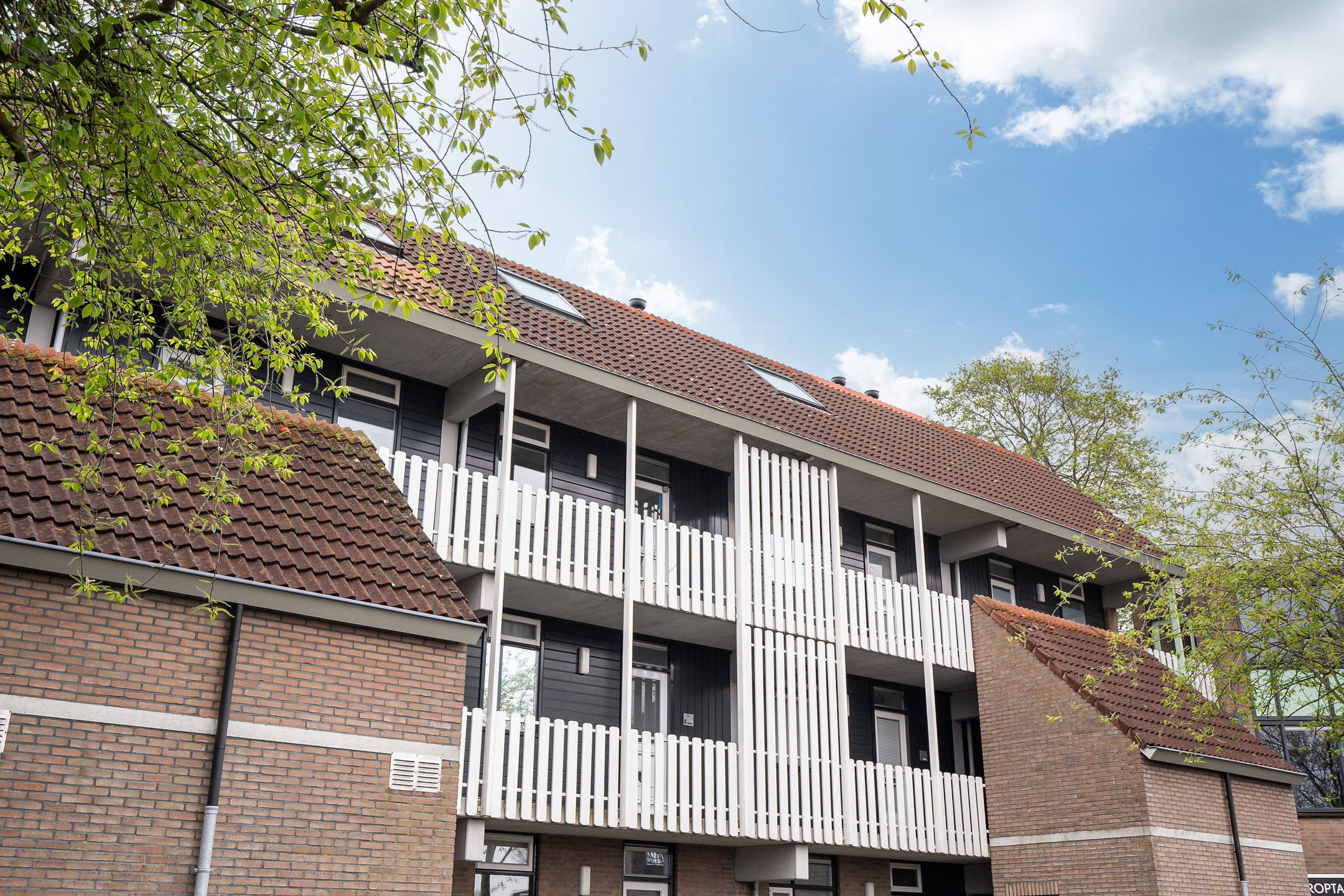 Foto 3 van Roptastate 164