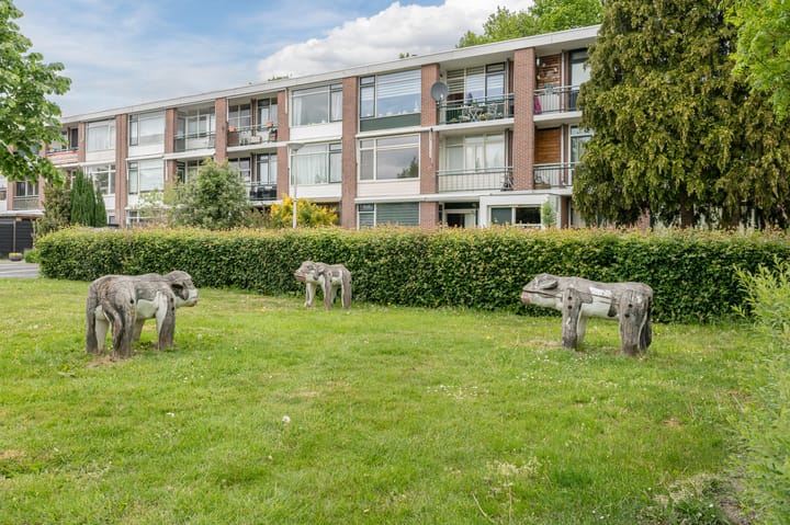 Foto 42 van Karel Doormanstraat 43