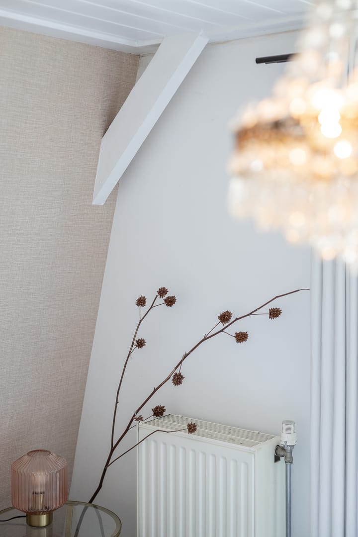 Foto 46 van Sint Janstraat 22