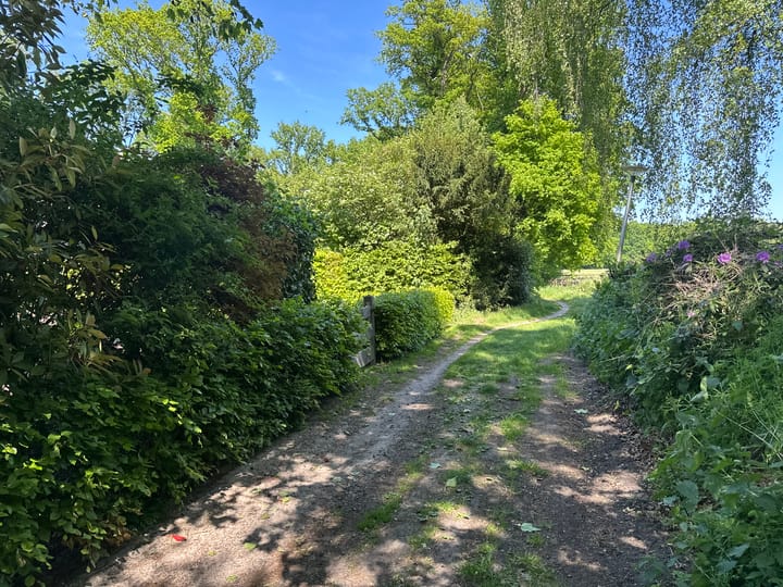 Foto 35 van Landrebenlaan 54