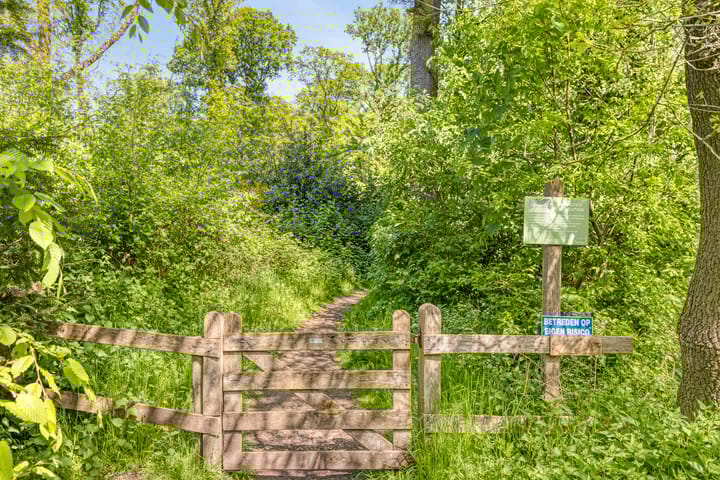 Foto 36 van Landrebenlaan 54