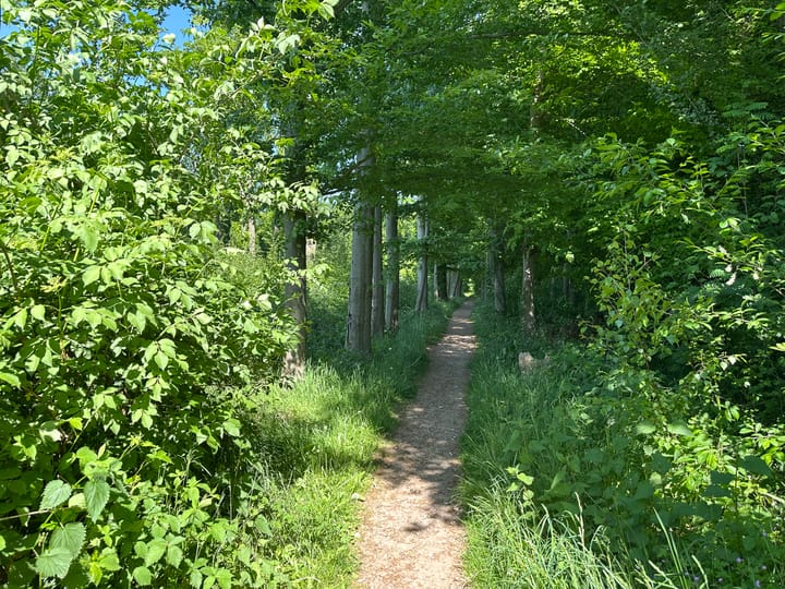 Foto 37 van Landrebenlaan 54