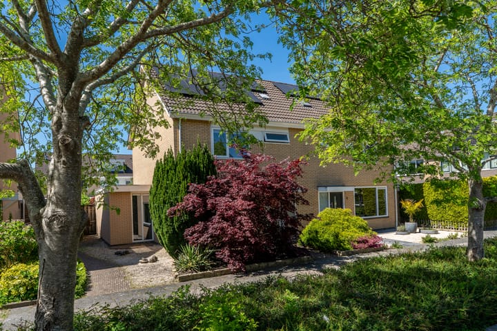 Foto 1 van Langewold 4