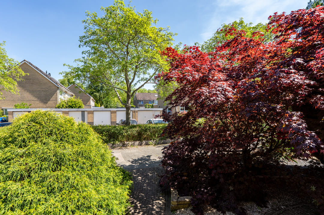 Foto 46 van Langewold 4