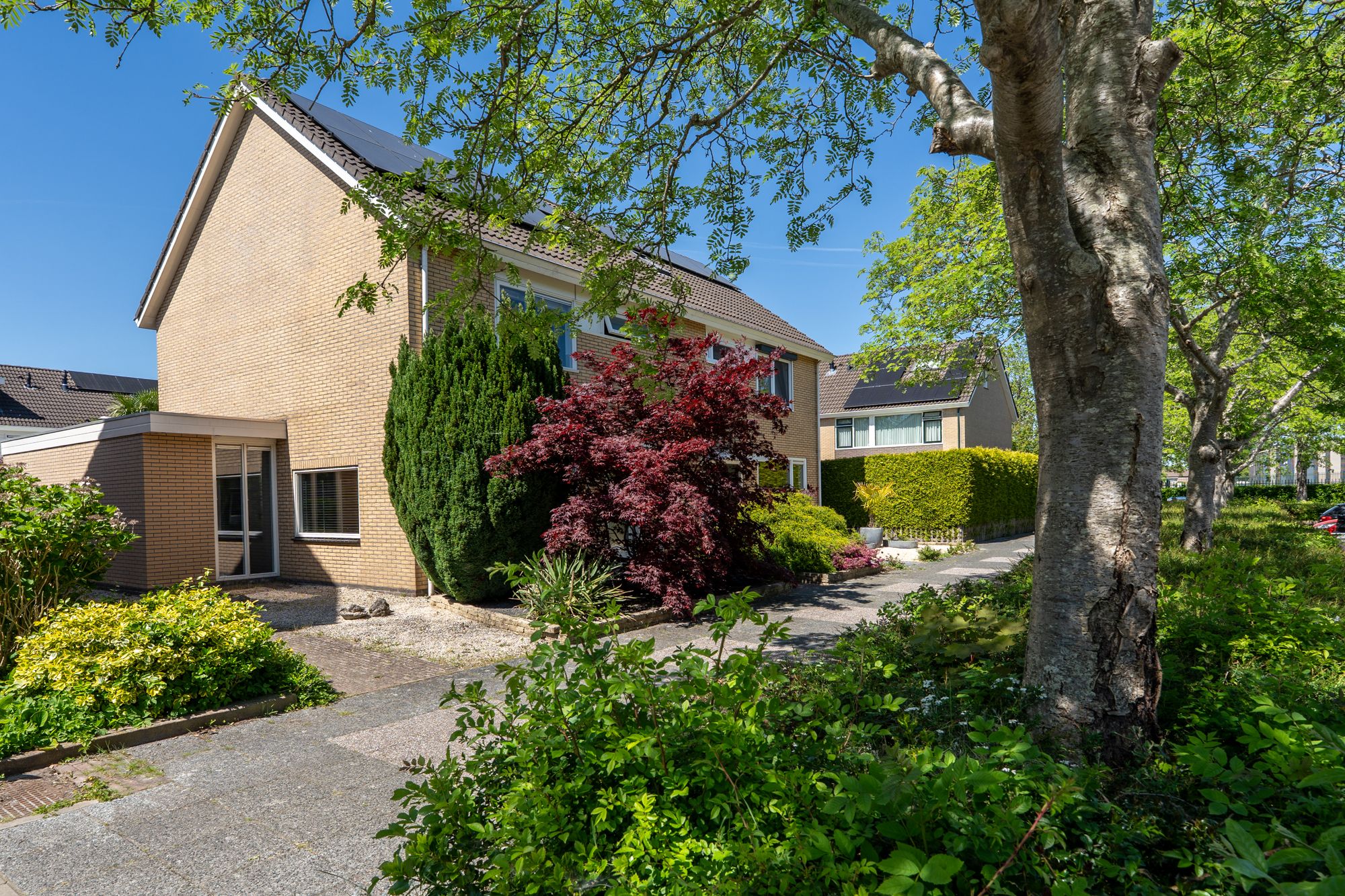 Foto 48 van Langewold 4