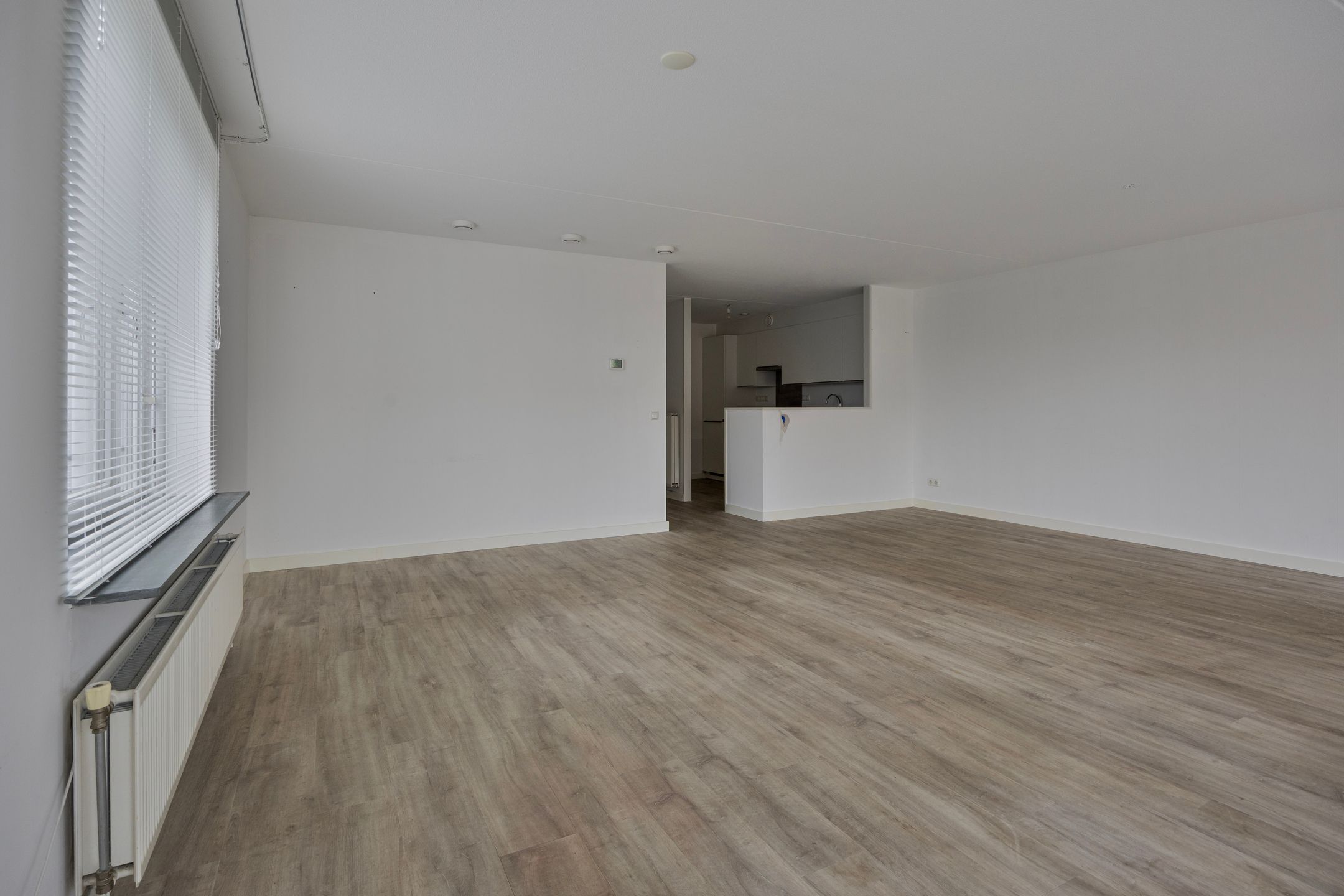 Photo 6 of Waterlelie 11