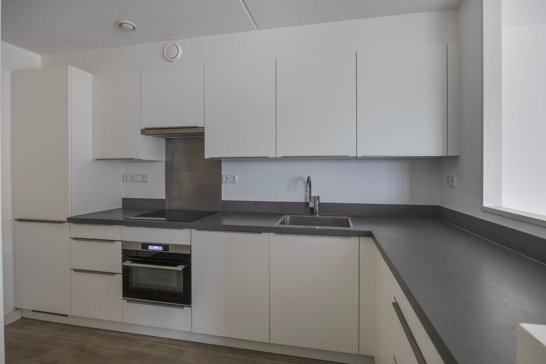 Photo 8 of Waterlelie 11