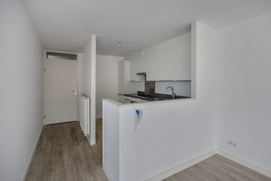 Photo 11 of Waterlelie 11