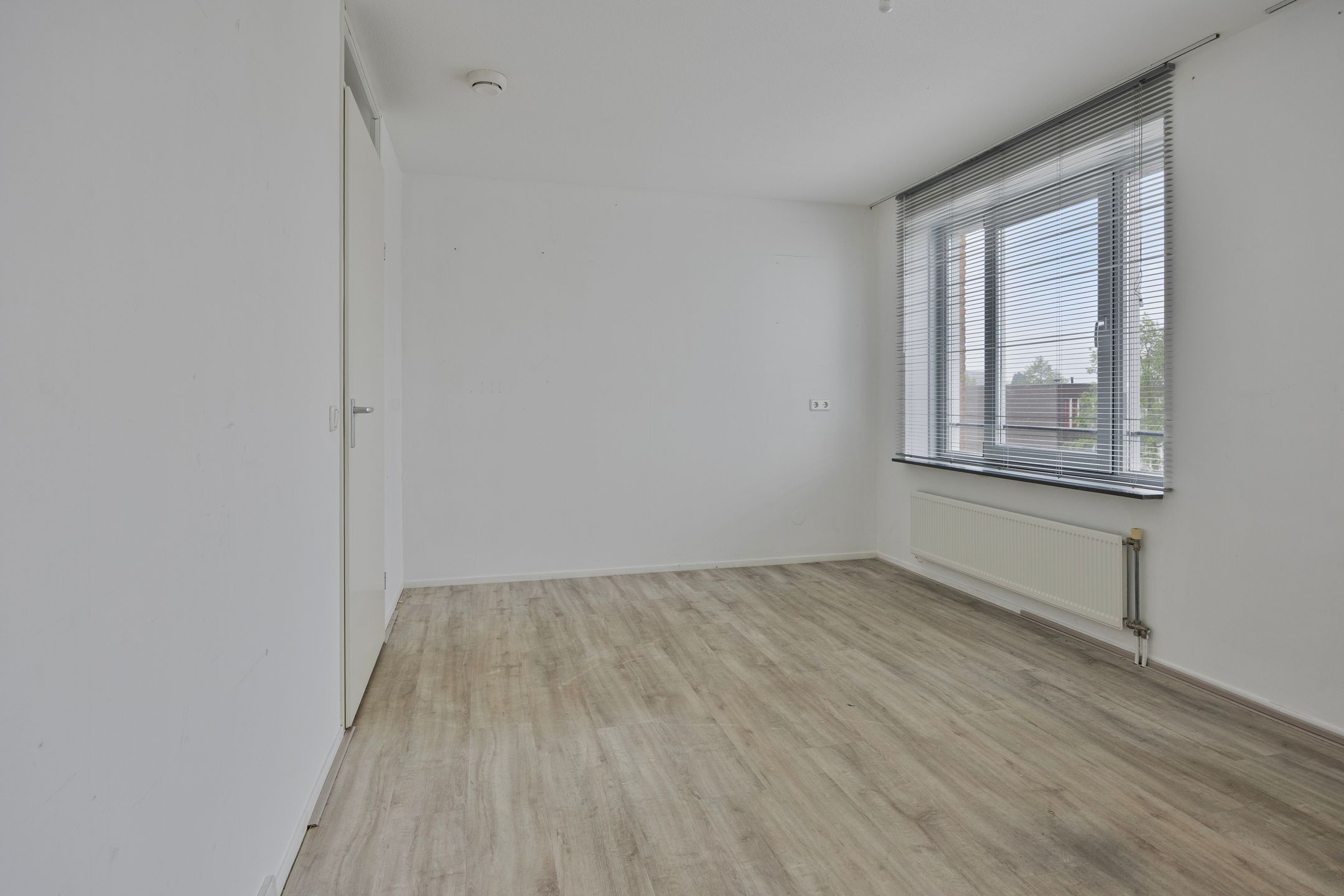 Photo 15 of Waterlelie 11