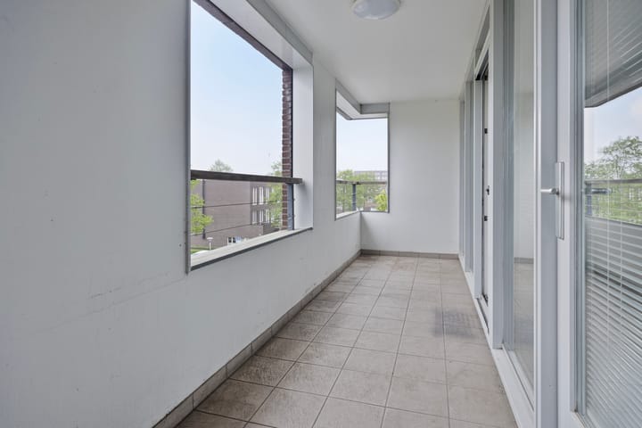 Foto 19 van Waterlelie 11