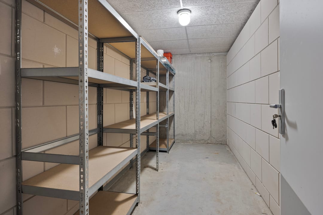 Photo 22 of Waterlelie 11