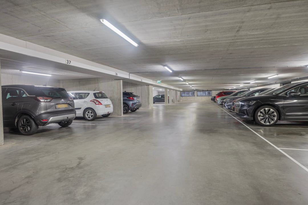 Photo 23 of Waterlelie 11