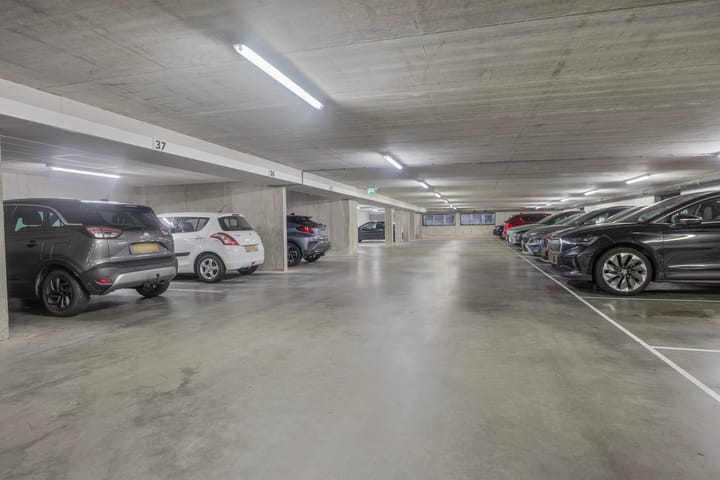 Foto 23 van Waterlelie 11