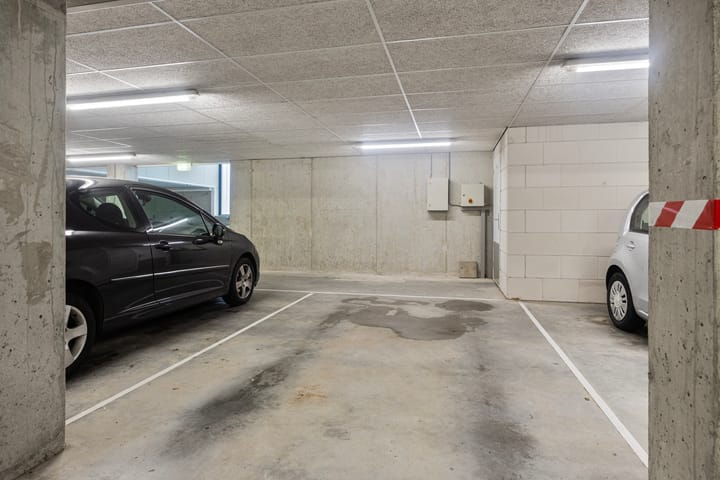 Foto 24 van Waterlelie 11