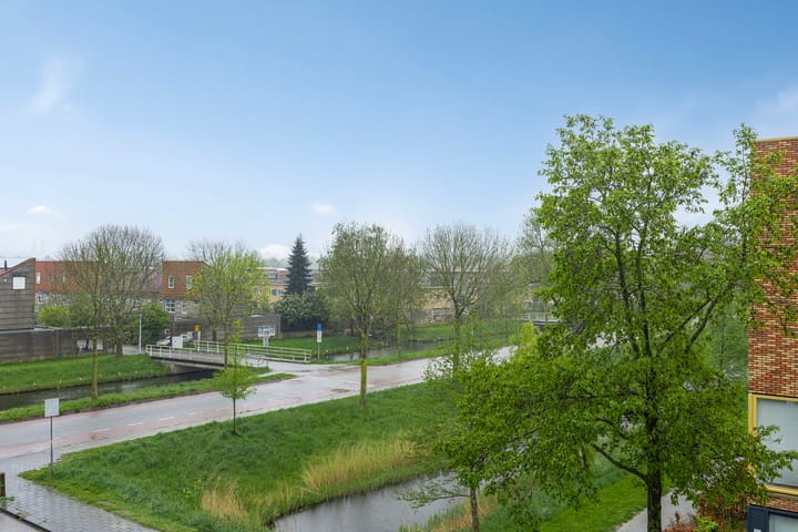 Foto 29 van Waterlelie 11