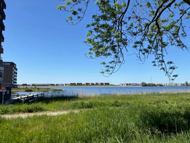 Photo 47 of Waterlelie 11