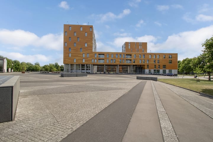 Foto 6 van Nonnenveld 169