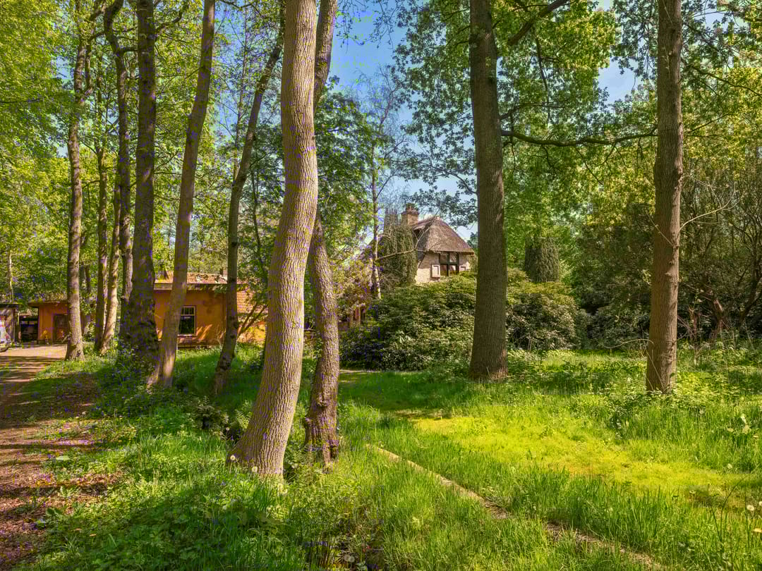 Foto 2 van Duinweg 65