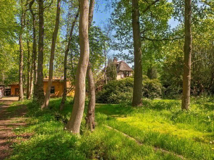 Foto 2 van Duinweg 65