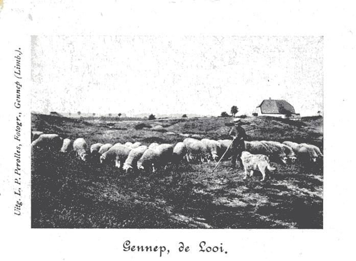 Foto 53 van Dr.Nolensstraat 42