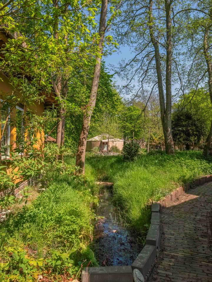 Foto 55 van Duinweg 65