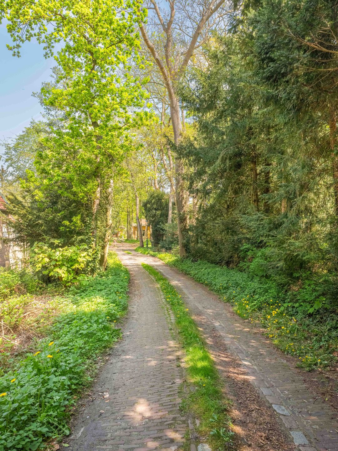 Foto 67 van Duinweg 65