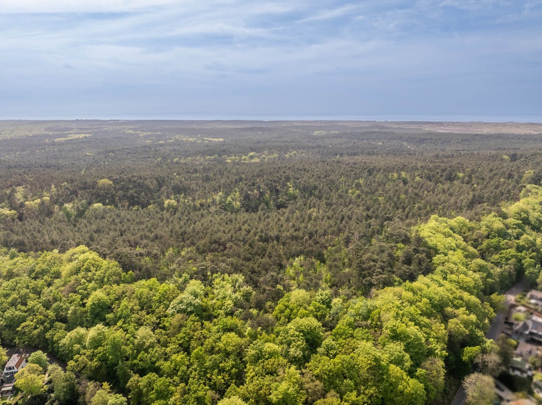 Foto 86 van Duinweg 65