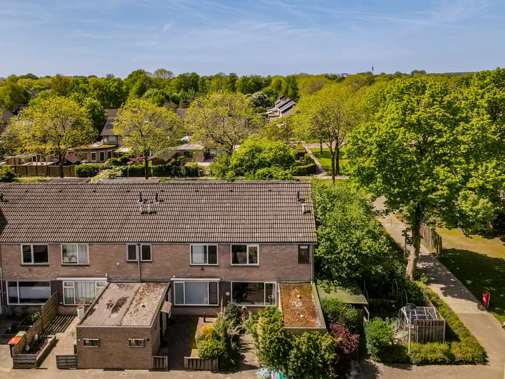 Foto 6 van Wijngaard 79