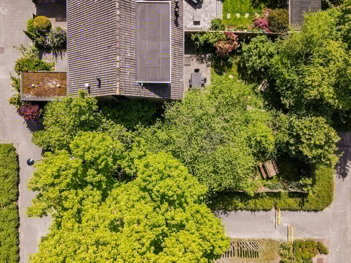 Foto 39 van Wijngaard 79