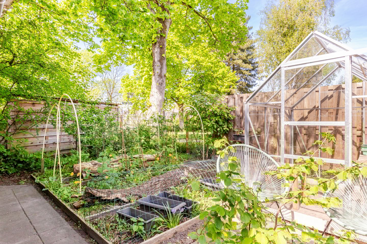 Foto 35 van Wijngaard 79