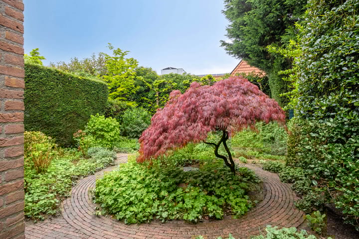 Foto 15 van Kastanjelaan 56