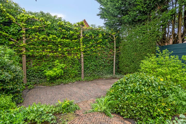 Foto 36 van Kastanjelaan 56