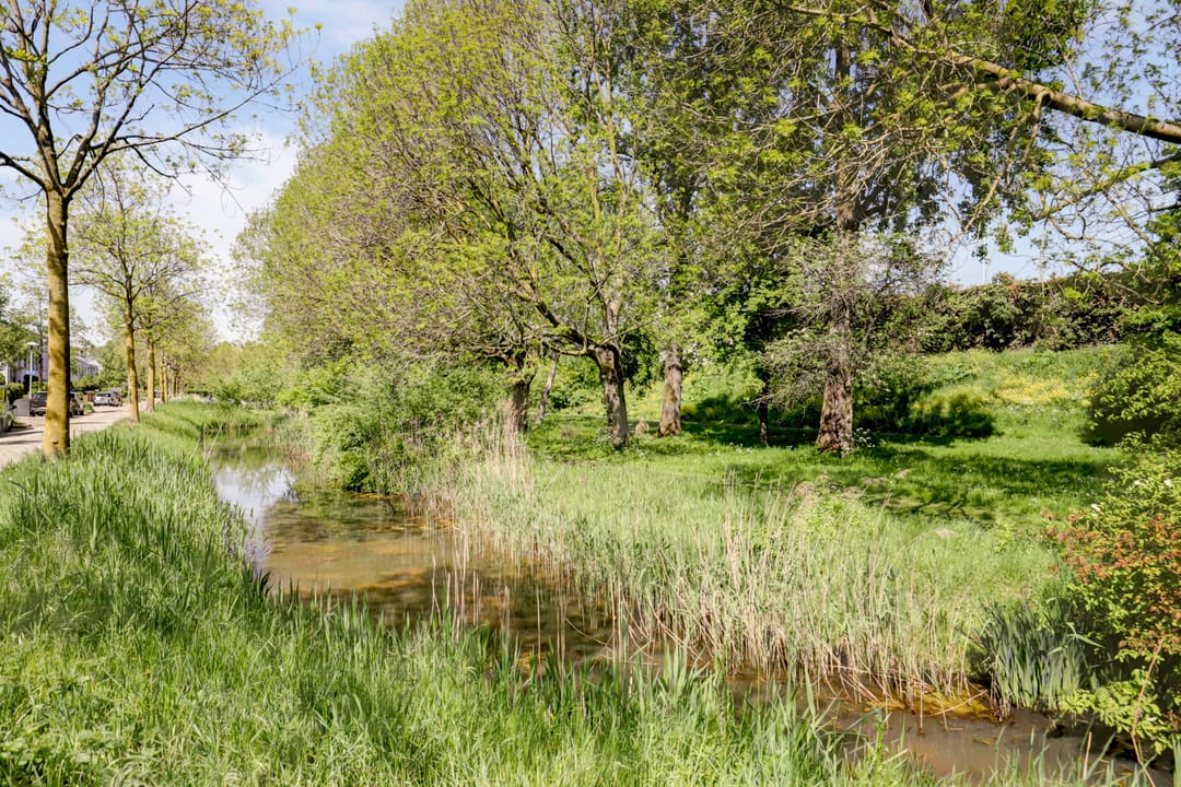 Foto 31 van Steve Bikostraat 55