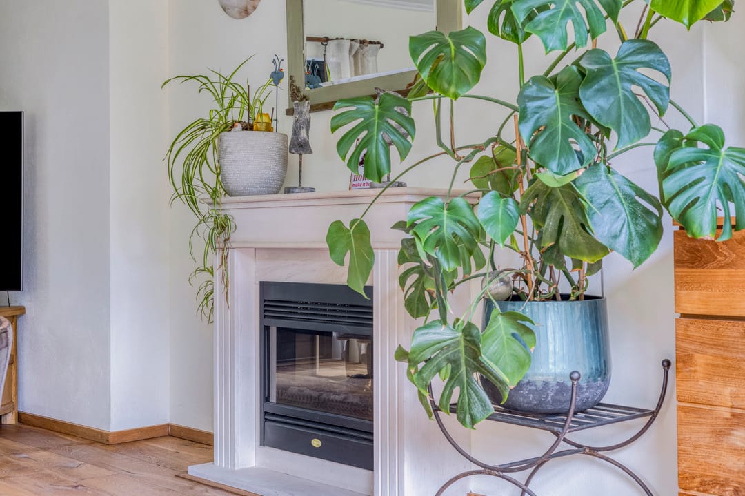 Foto 11 van Wilhelminalaan 8