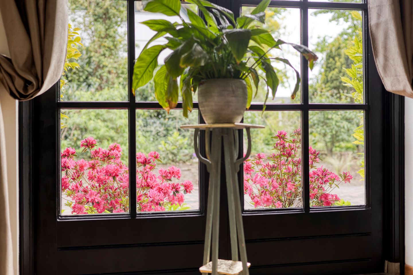 Foto 20 van Wilhelminalaan 8