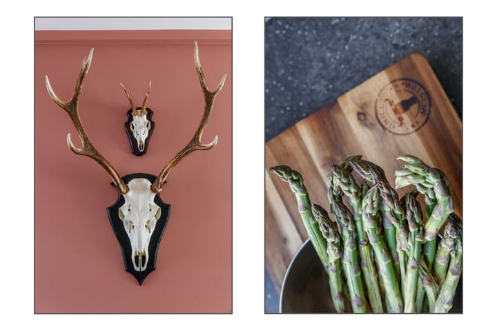 Foto 4 van Anjelierstraat 13