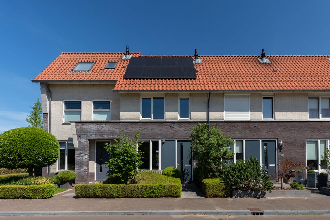 Foto 1 van Rotsvlinder 34