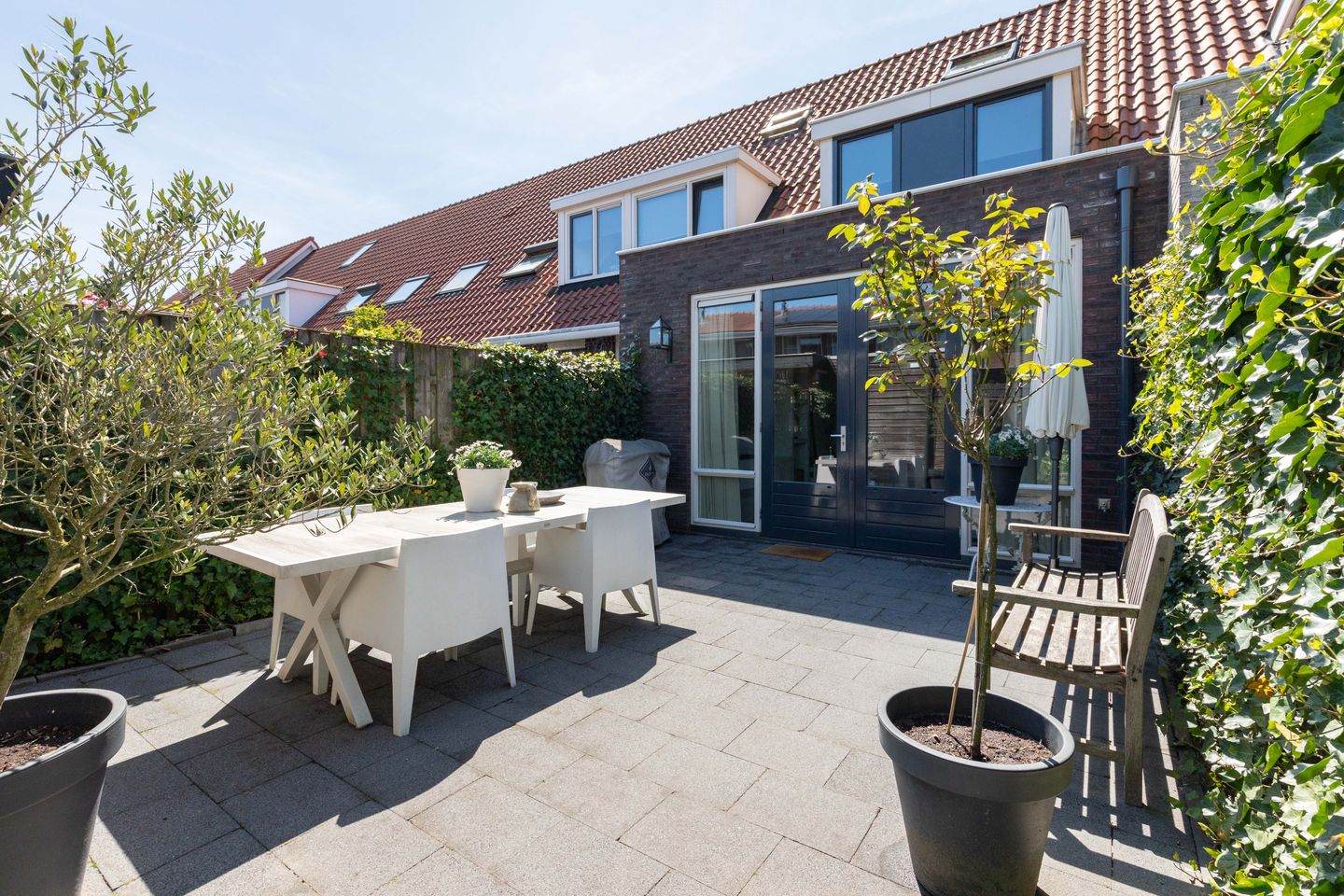 Foto 4 van Rotsvlinder 34