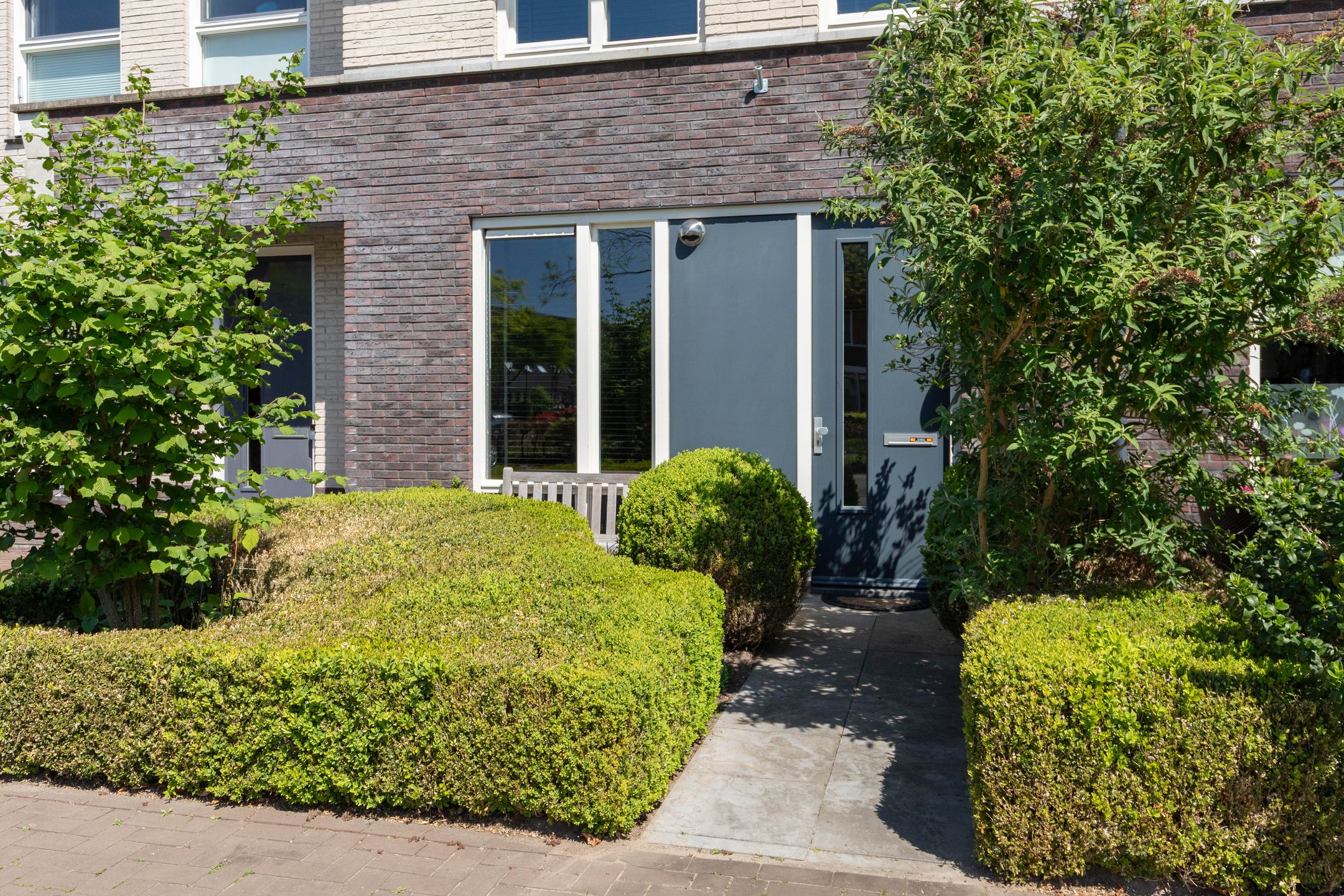 Foto 6 van Rotsvlinder 34