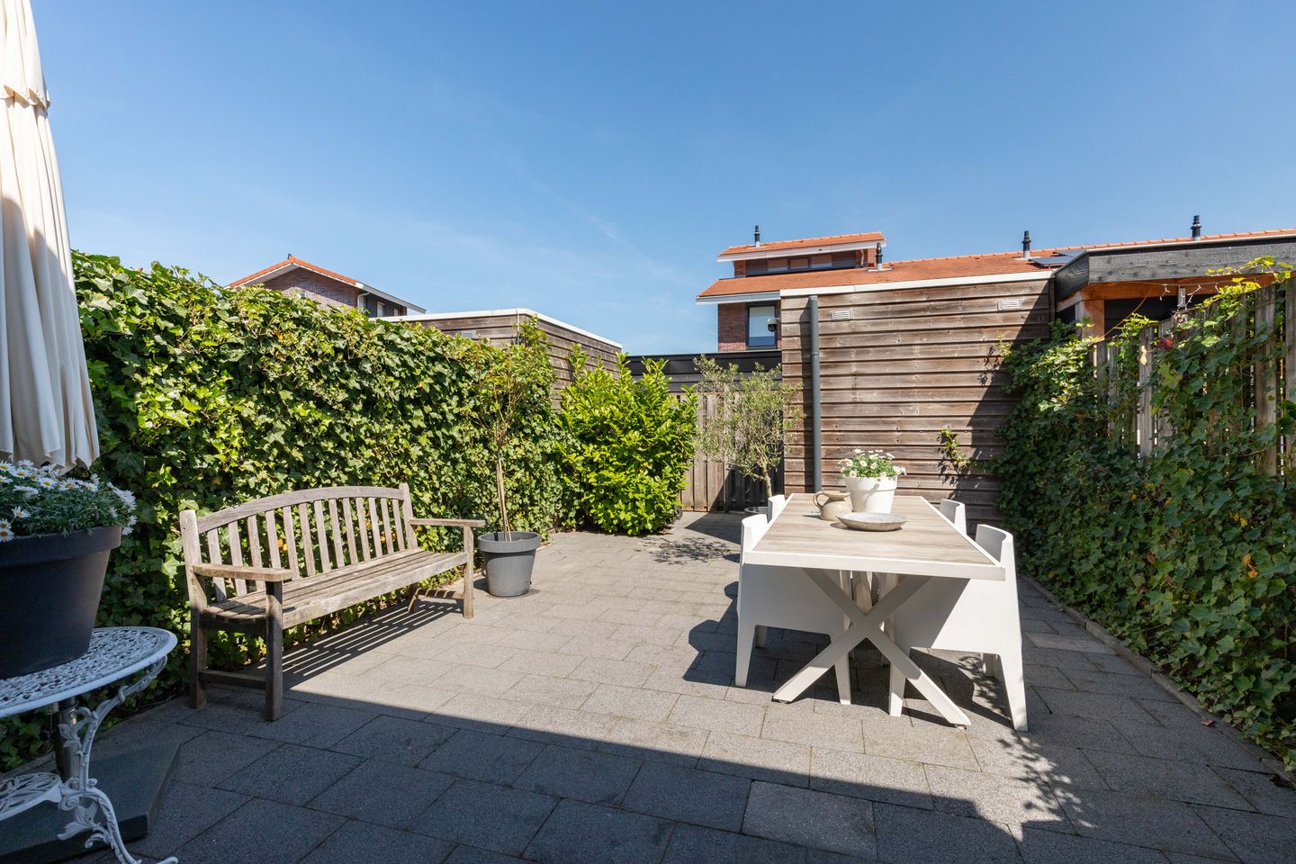 Foto 34 van Rotsvlinder 34