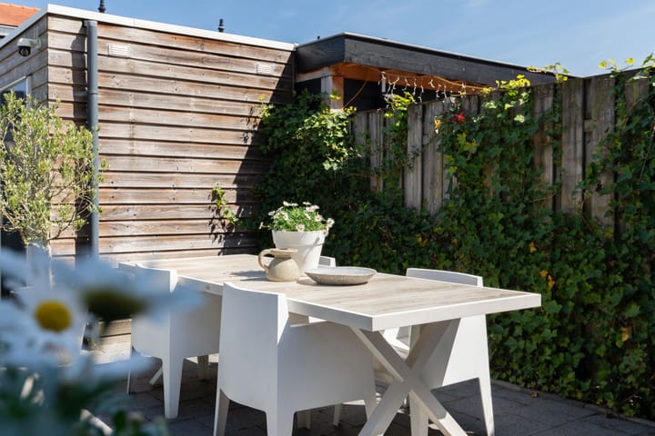 Foto 35 van Rotsvlinder 34