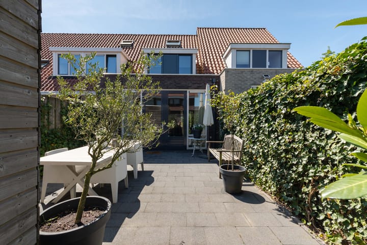 Foto 37 van Rotsvlinder 34